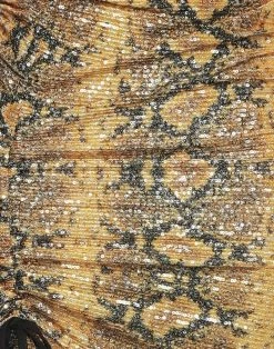 Flash Sale - GCDS Midi Dress For Women Yellow -GCDS Sales Shop unnamed file 1117